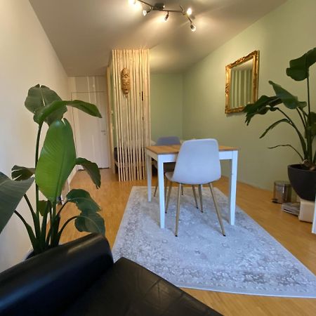 Limmatspitz Apartment Gebenstorf Ngoại thất bức ảnh