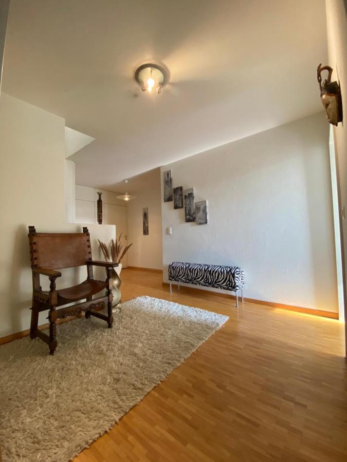Limmatspitz Apartment Gebenstorf Ngoại thất bức ảnh