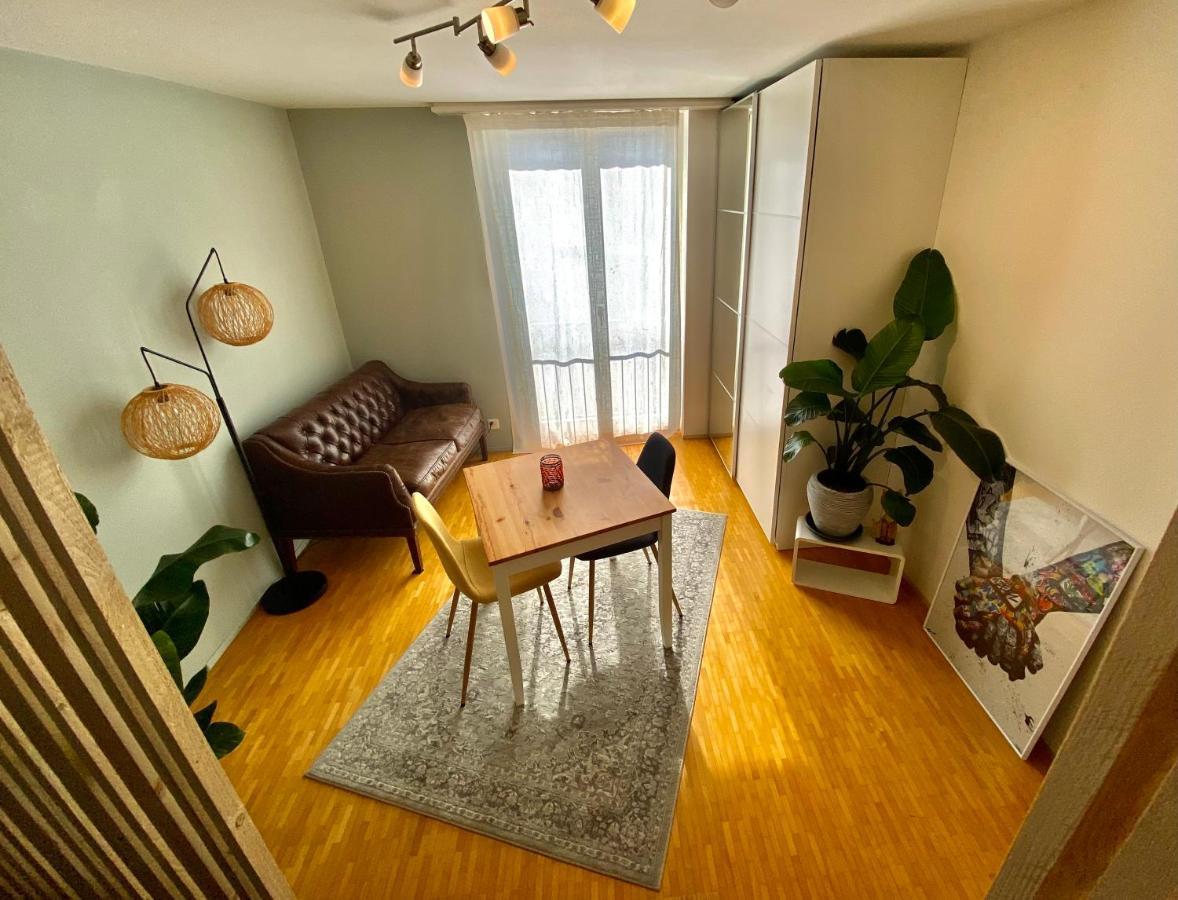 Limmatspitz Apartment Gebenstorf Ngoại thất bức ảnh