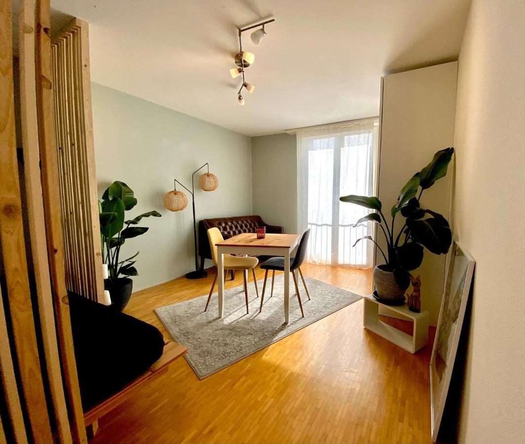 Limmatspitz Apartment Gebenstorf Ngoại thất bức ảnh