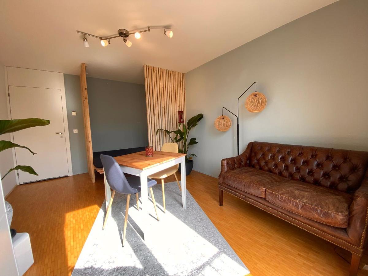 Limmatspitz Apartment Gebenstorf Ngoại thất bức ảnh