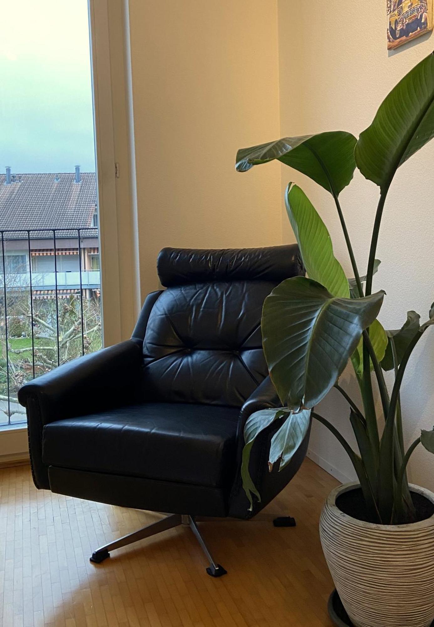 Limmatspitz Apartment Gebenstorf Ngoại thất bức ảnh
