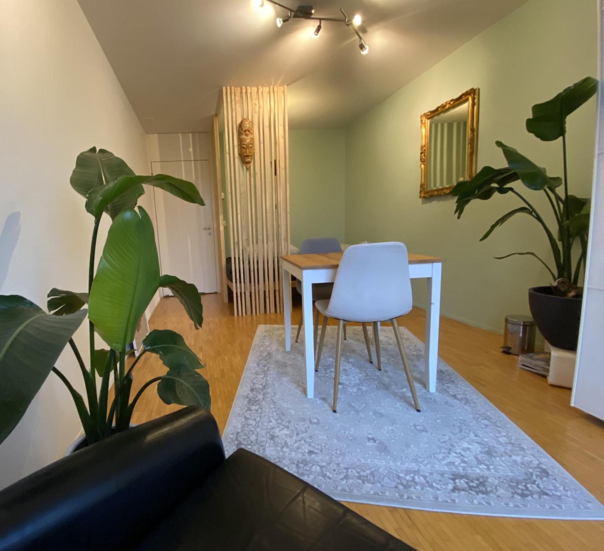 Limmatspitz Apartment Gebenstorf Ngoại thất bức ảnh